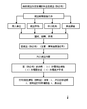 画布 509